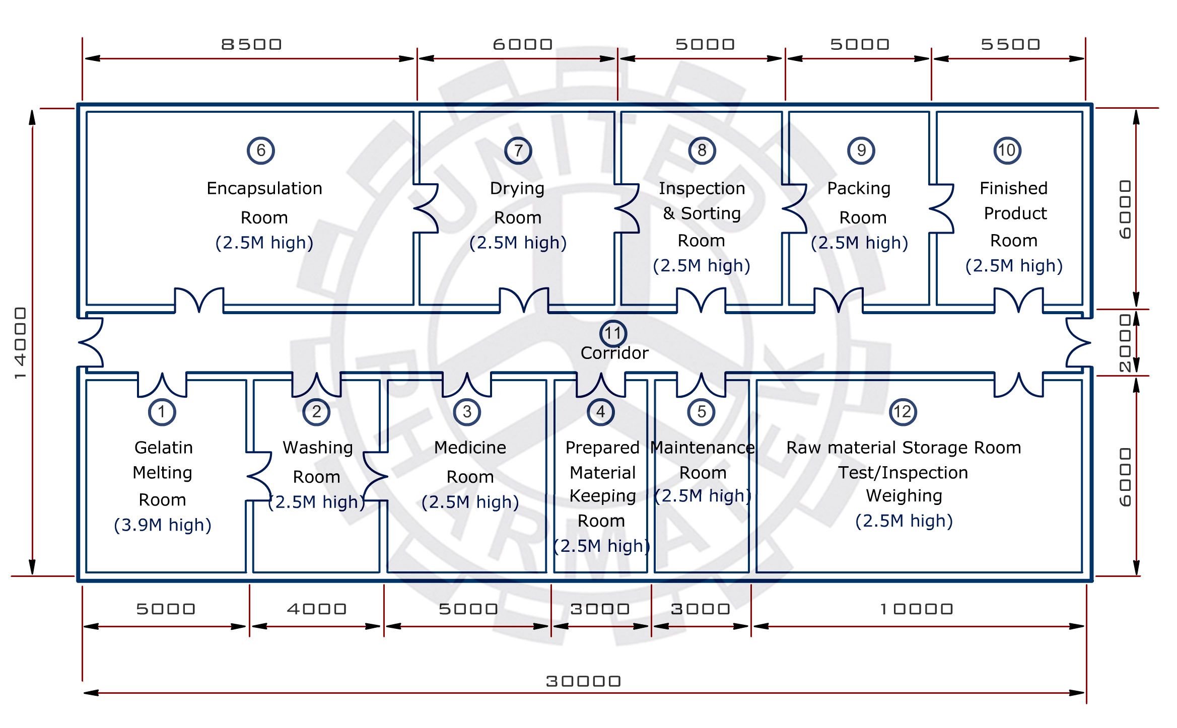 Softgel Manufacturing Room Layout