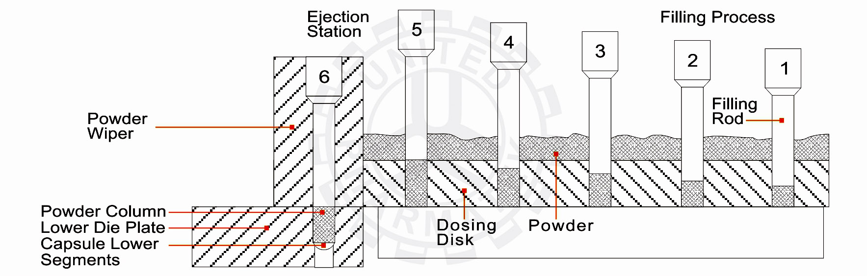 Hard Gelatin Capsule Manufacturing Process